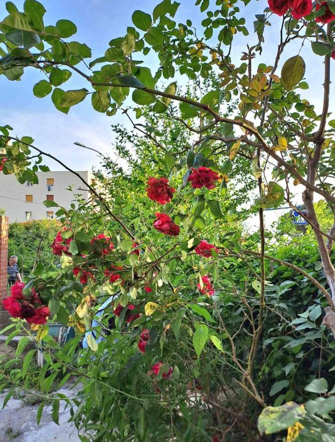 Apartmani Kozala غييكا المظهر الخارجي الصورة
